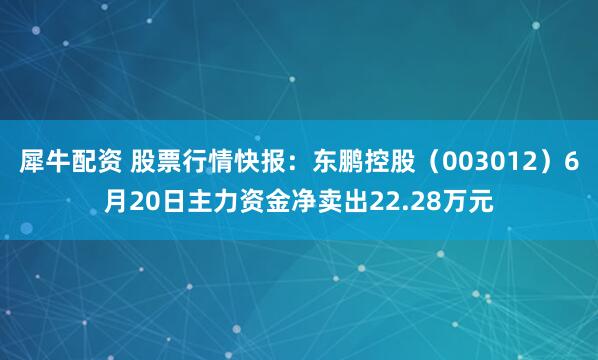 犀牛配资 股票行情快报：东鹏控股（003012）6月20日主力资金净卖出22.28万元