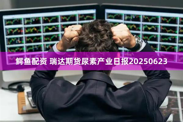 鳄鱼配资 瑞达期货尿素产业日报20250623