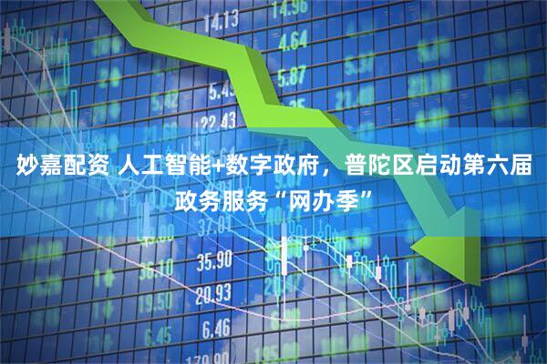 妙嘉配资 人工智能+数字政府，普陀区启动第六届政务服务“网办季”