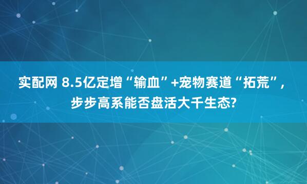 实配网 8.5亿定增“输血”+宠物赛道“拓荒”, 步步高系能否盘活大千生态?