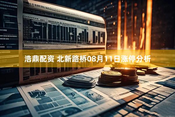 浩鼎配资 北新路桥08月11日涨停分析