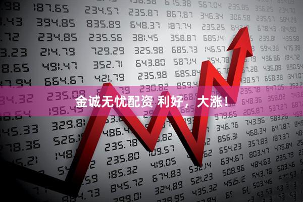 金诚无忧配资 利好，大涨！
