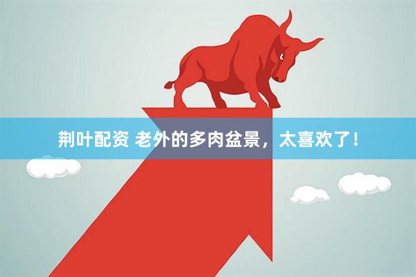 荆叶配资 老外的多肉盆景，太喜欢了！